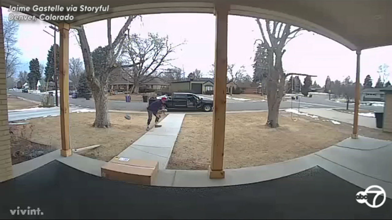 CAUGHT ON CAMERA: Thief steals beloved dog right from front yard
