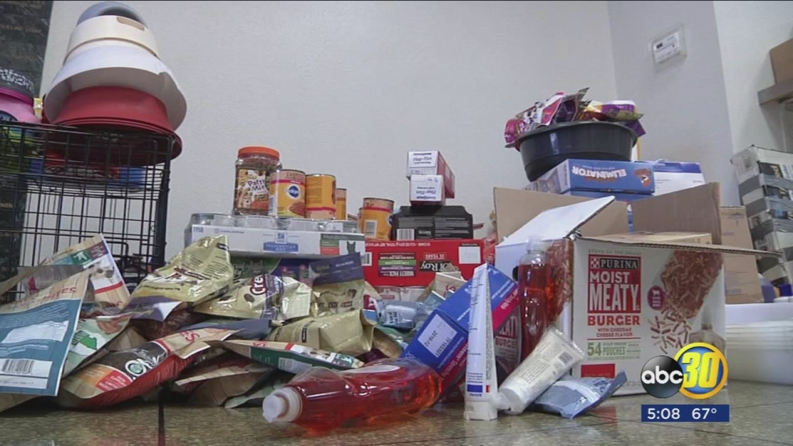 Pet Food Stamps