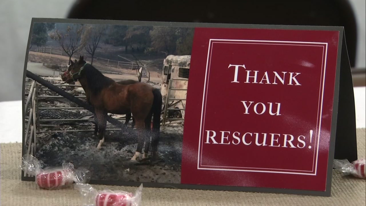 Heartwarming gathering brings North Bay fire animal rescuers and owners together