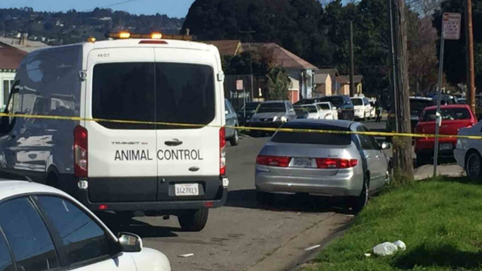 Police in Oakland investigating after dog shot, killed by officer ...