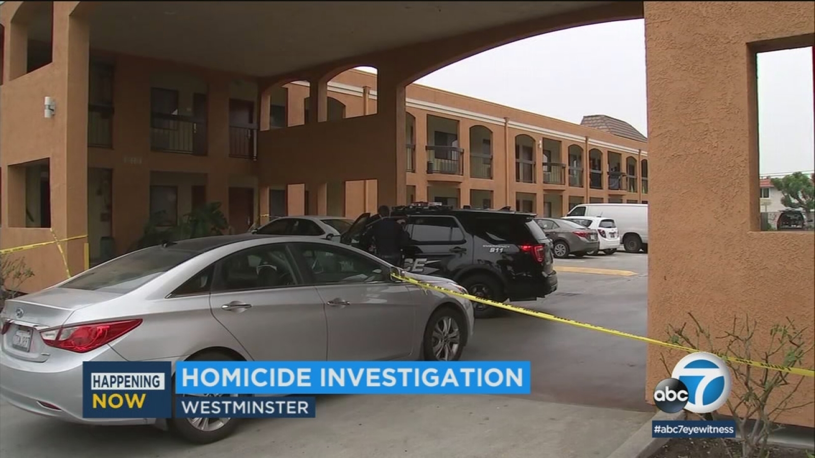 Westminster police launch homicide investigation after woman found dead