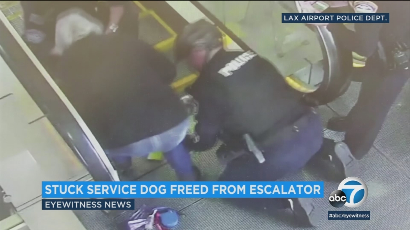 VIDEO LAX police officer rescues service dog caught in escalator