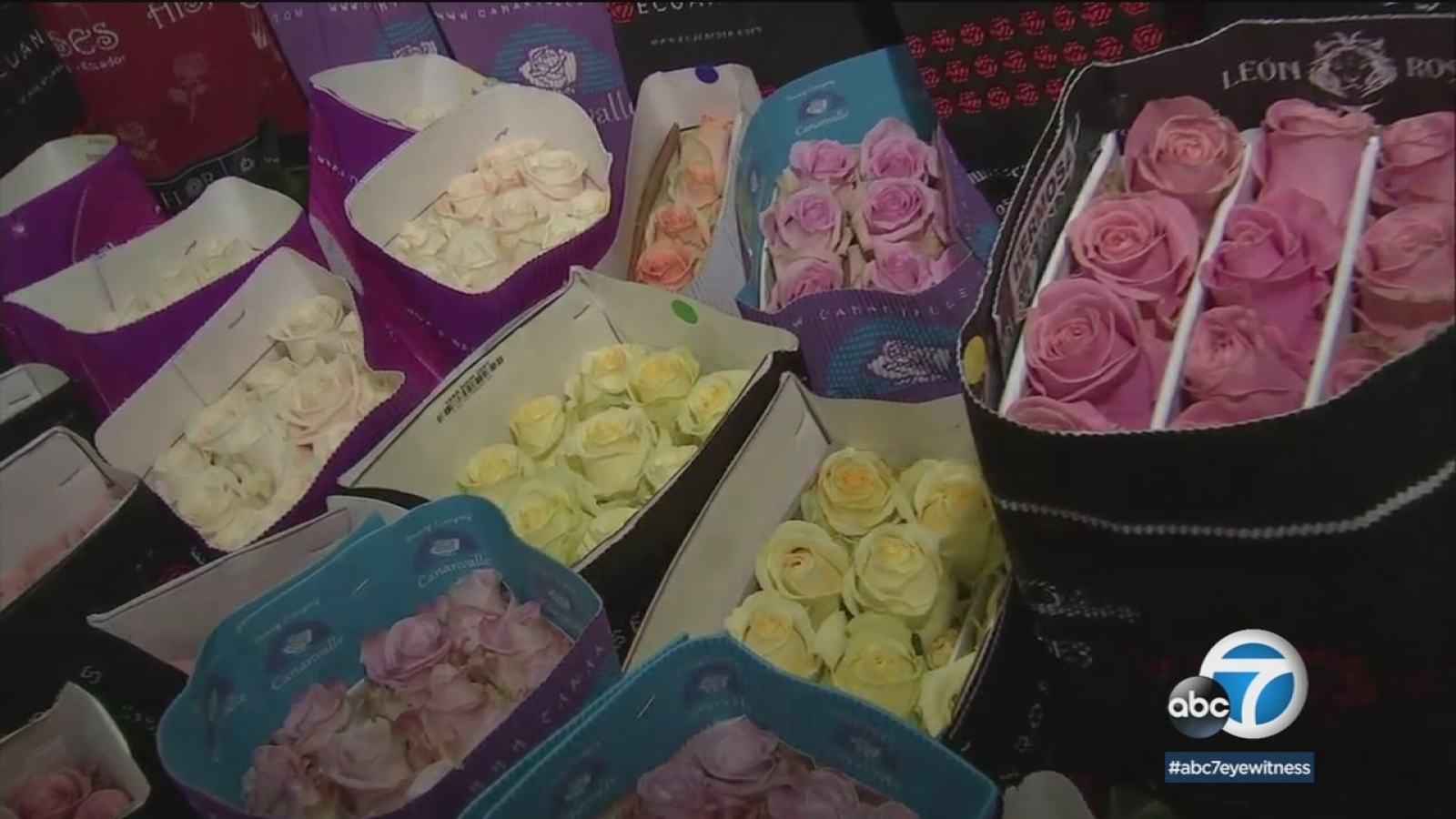 Still haven't bought Valentine's flowers? Here's one lastminute option