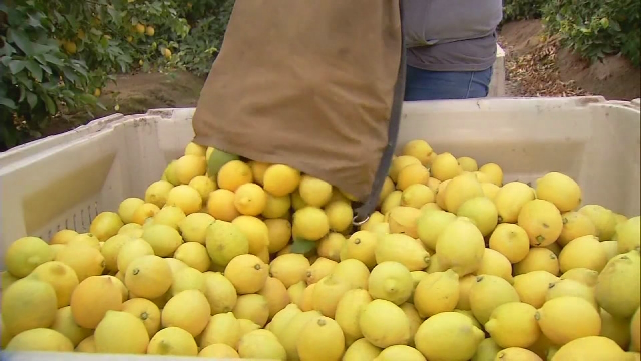 Addressing fears, Ag Secretary says ICE not targeting farm workers