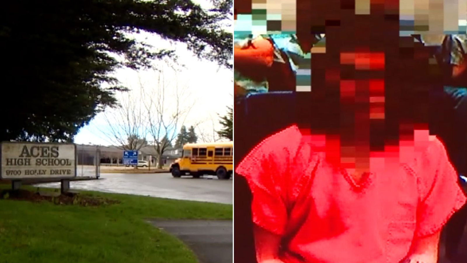 Grandmother foiled alleged school shooting plot of teen who reportedly ...