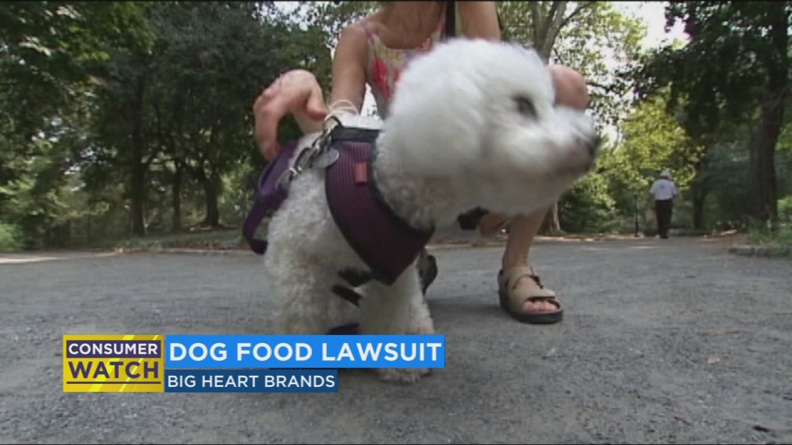 Class action lawsuit against dog food manufacturer ABC30 Fresno