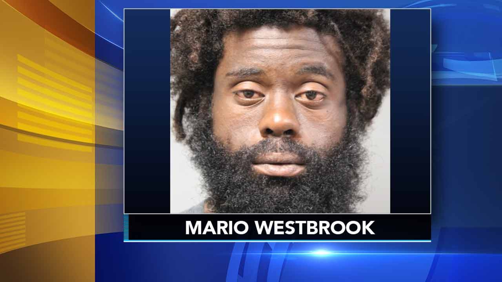 Officer hurt in scuffle with suspect outside Wawa store in Dover ...
