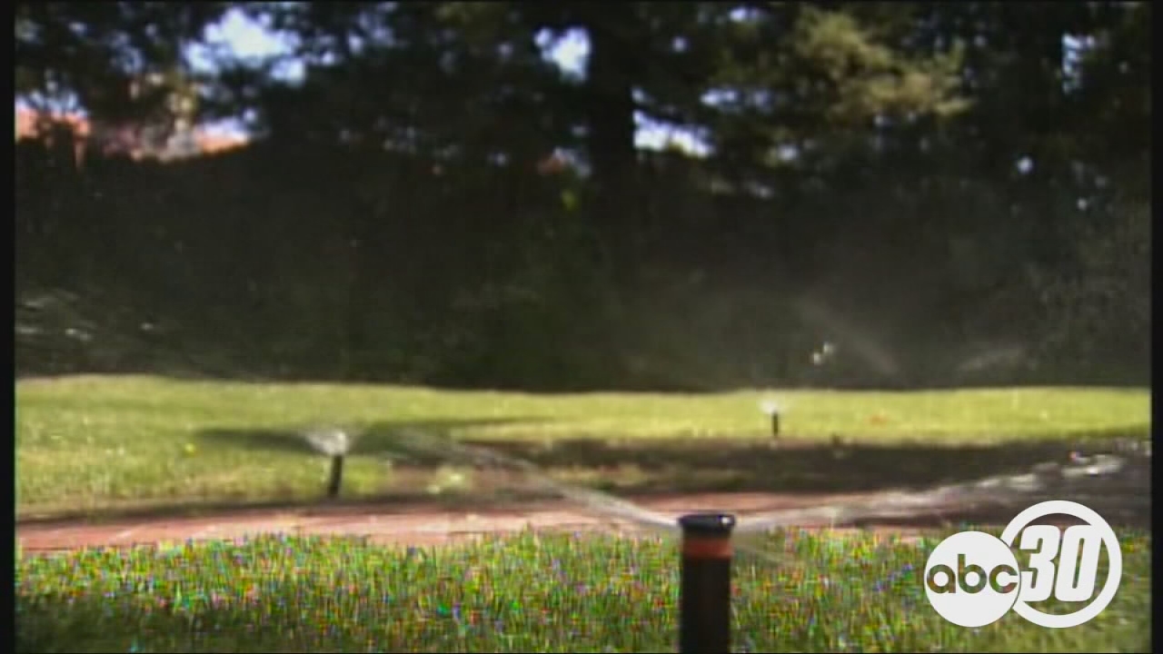 POLITICAL INSIDER: Water Wasters