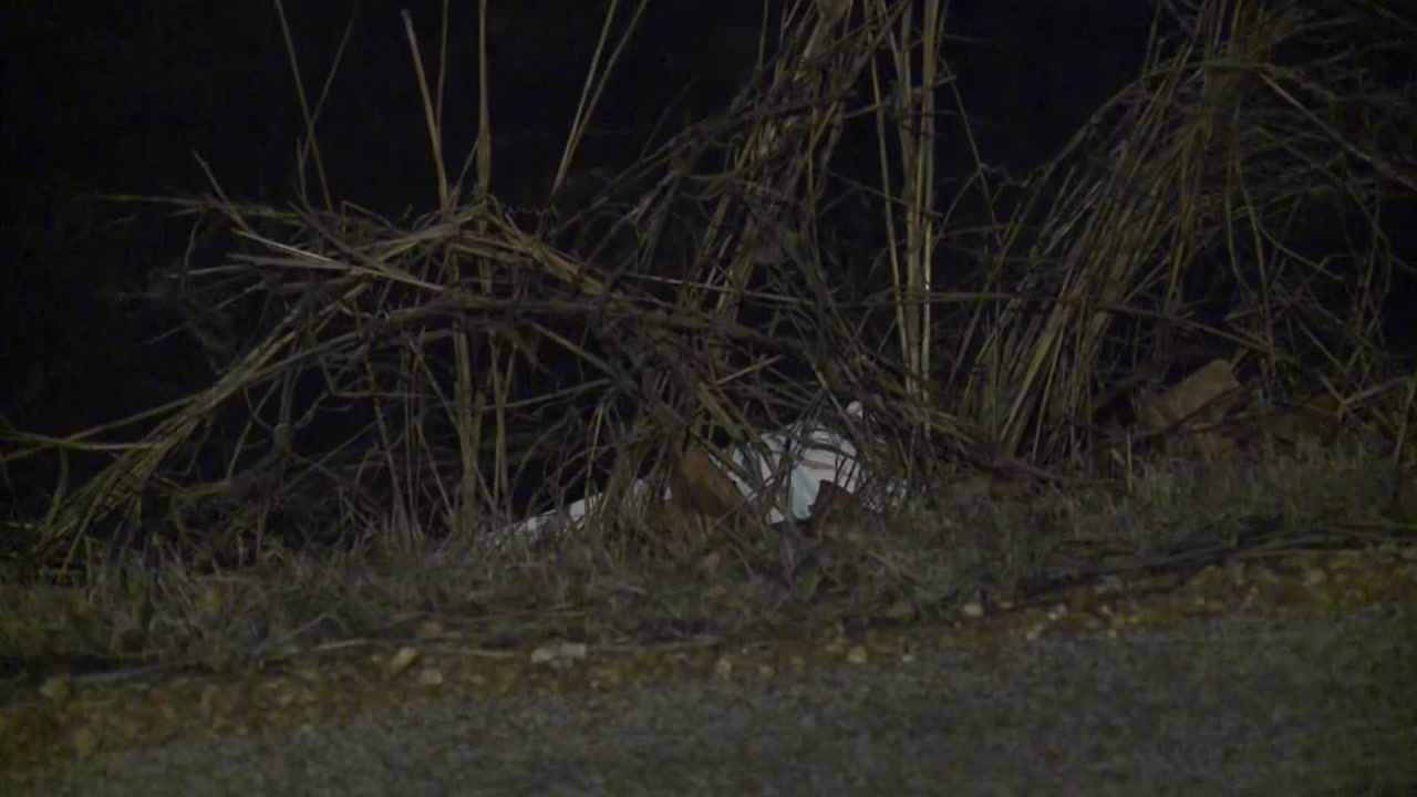 Abandoned bodies of infants found in suitcase