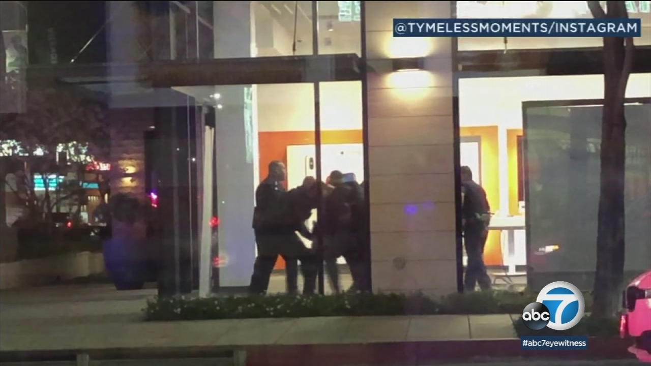 2 LAPD officers bitten by suspect in Tarzana