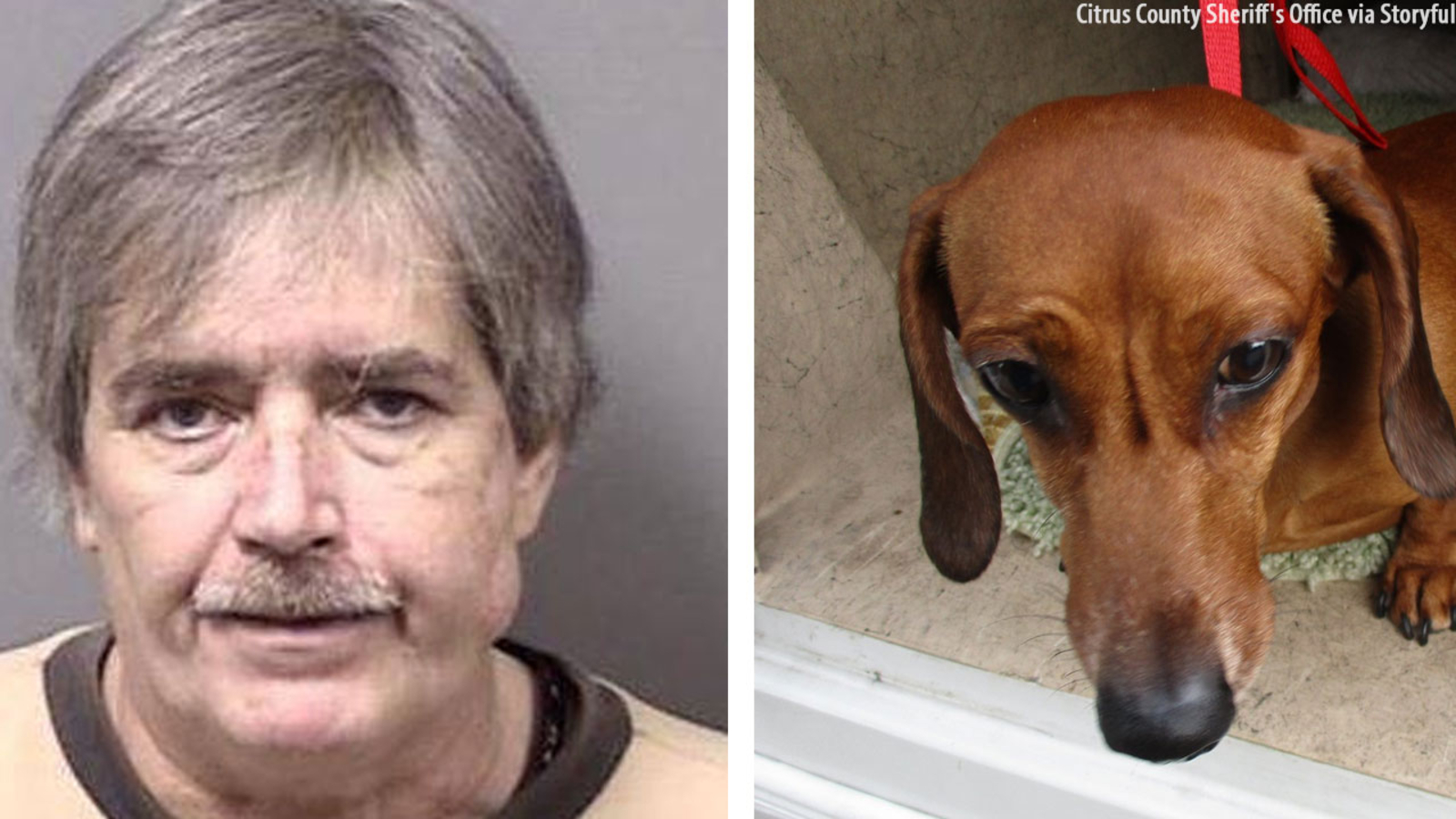 Florida man arrested after using coat hangerlike tool to remove bones from dog's stomach 6abc