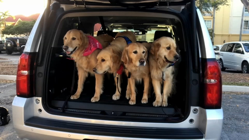 Comfort Dogs Offer Support To Community In Parkland Florida