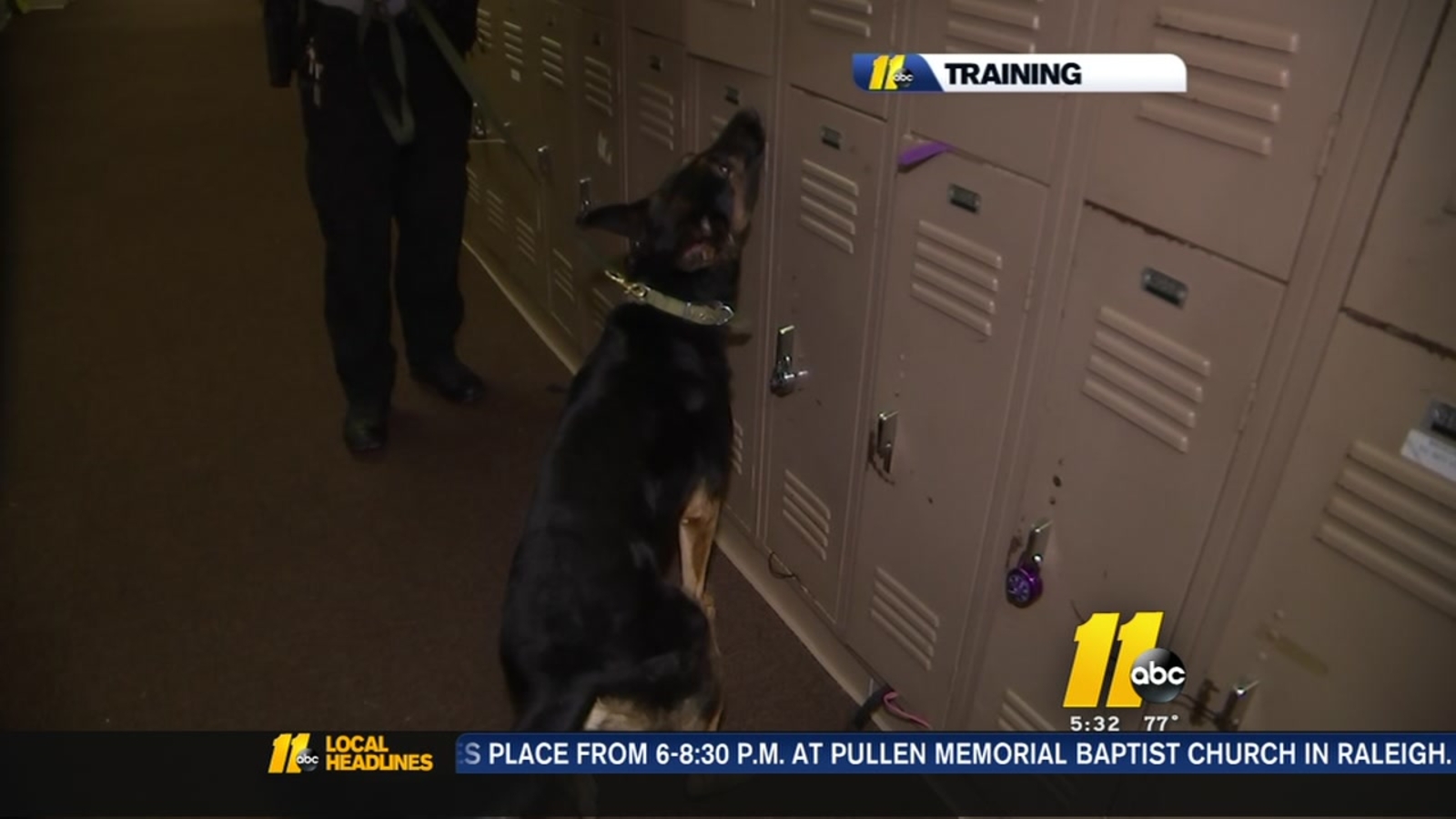 Are Dogs Trained To Sniff For Guns