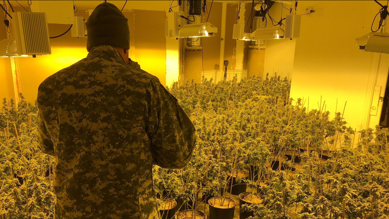 2 Arrested For Running Marijuana Grow Stealing Electricity In Oak