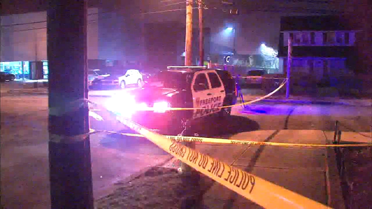 Shots fired at Freeport police, suspect in custody
