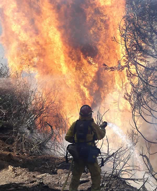 Firefighters battle a wall of flames from the King fire near Fresh Pond Fresh Pond, Calif., Wednesday, Sept. 17, 2014.