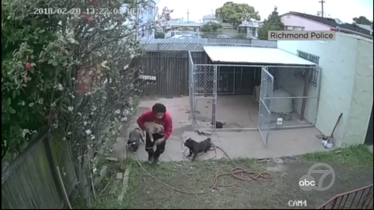 Richmond police seek help finding dog thief