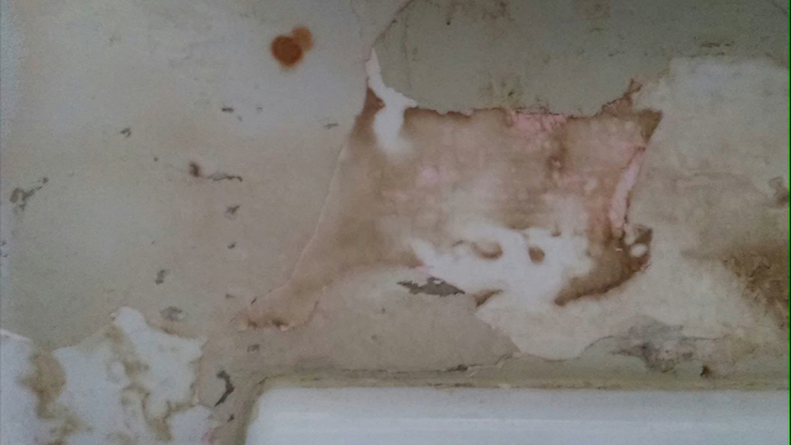 New study reveals extent of mold problems at NYCHA apartments in New