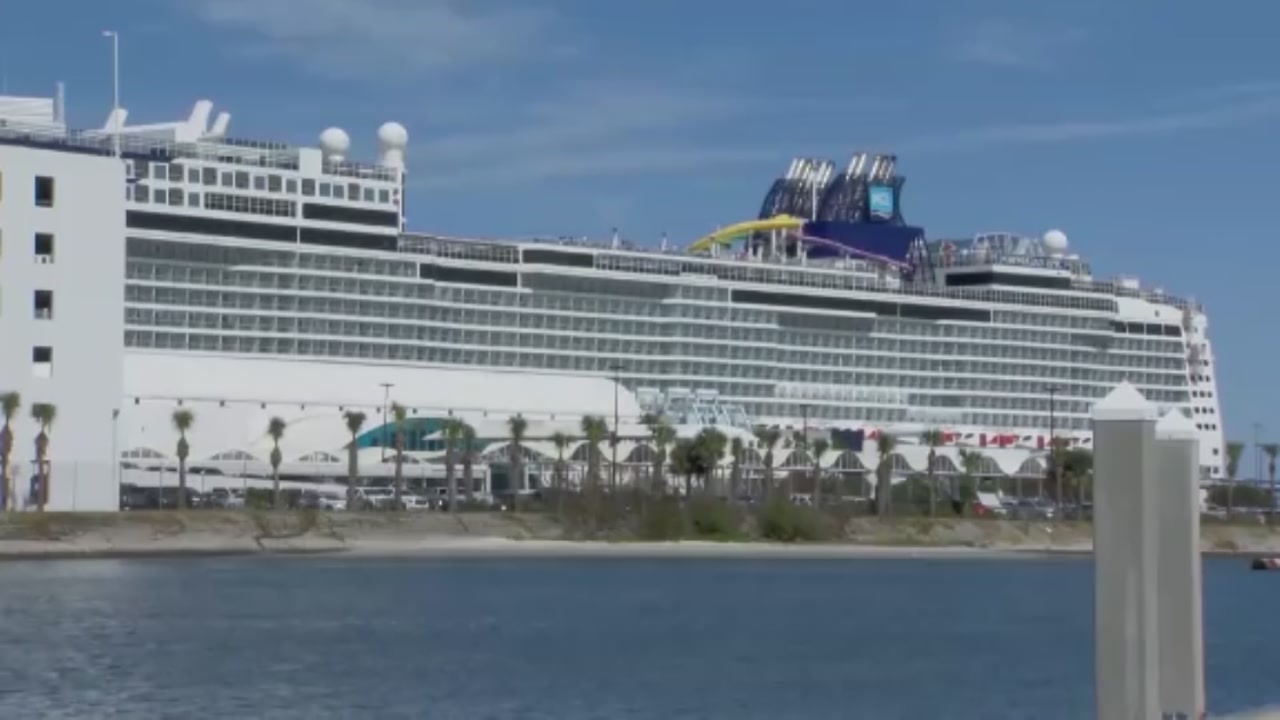 Cruise ship passenger recovering after falling overboard