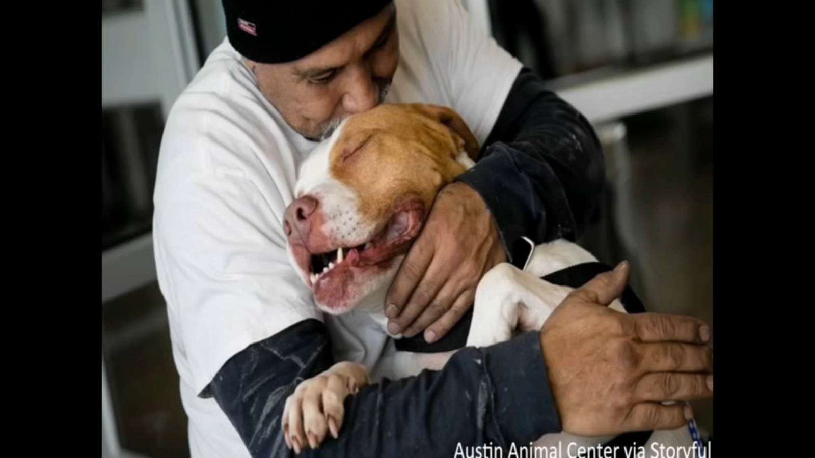 Dog, owner reunited after four months apart 6abc Philadelphia(02)