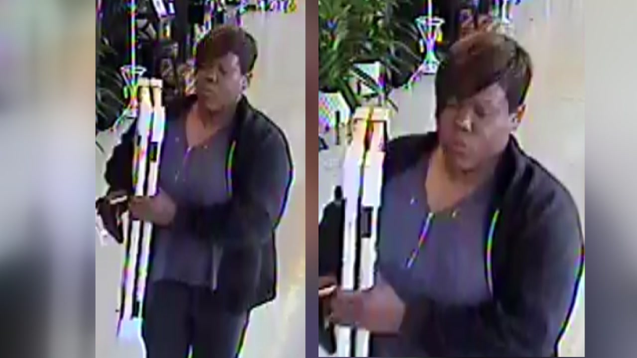 Craft lover wanted for allegedly ripping off Hobby Lobby stores