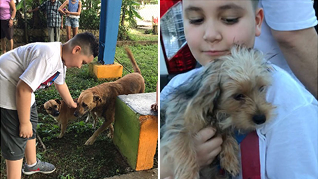 Boy uses birthday money to send animal food to PR