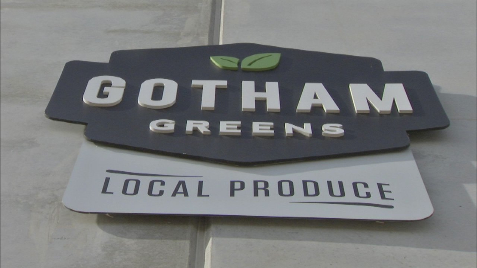 New Gotham Greens greenhouse brings 130 jobs to Pullman ABC7 Chicago