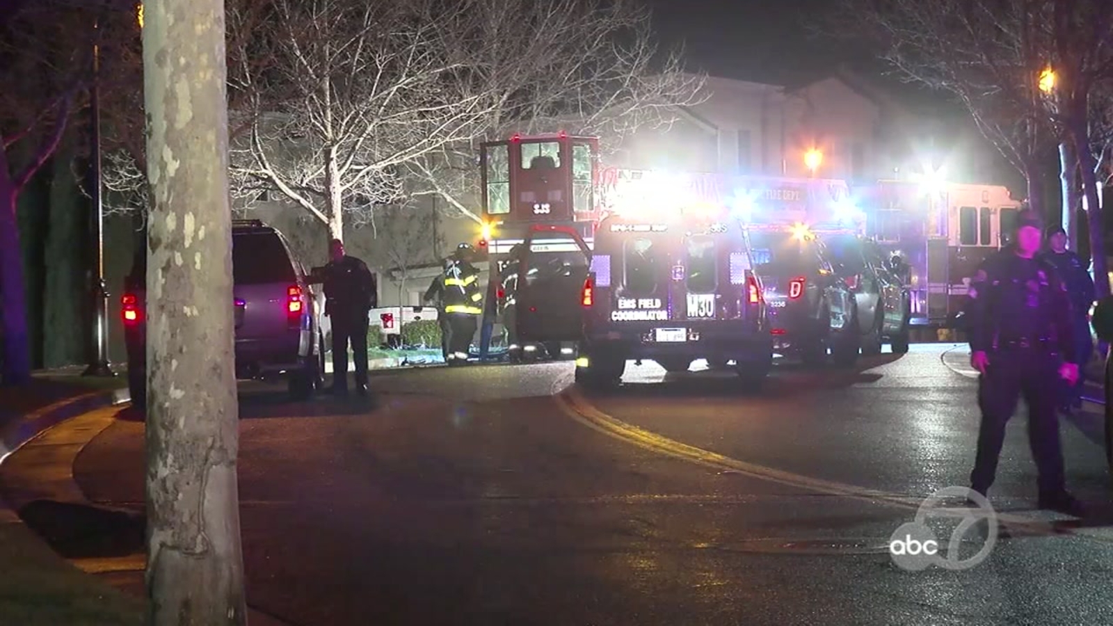 2 Dead 2 Hospitalized After Vehicle Crashed Into Tree In San Jose