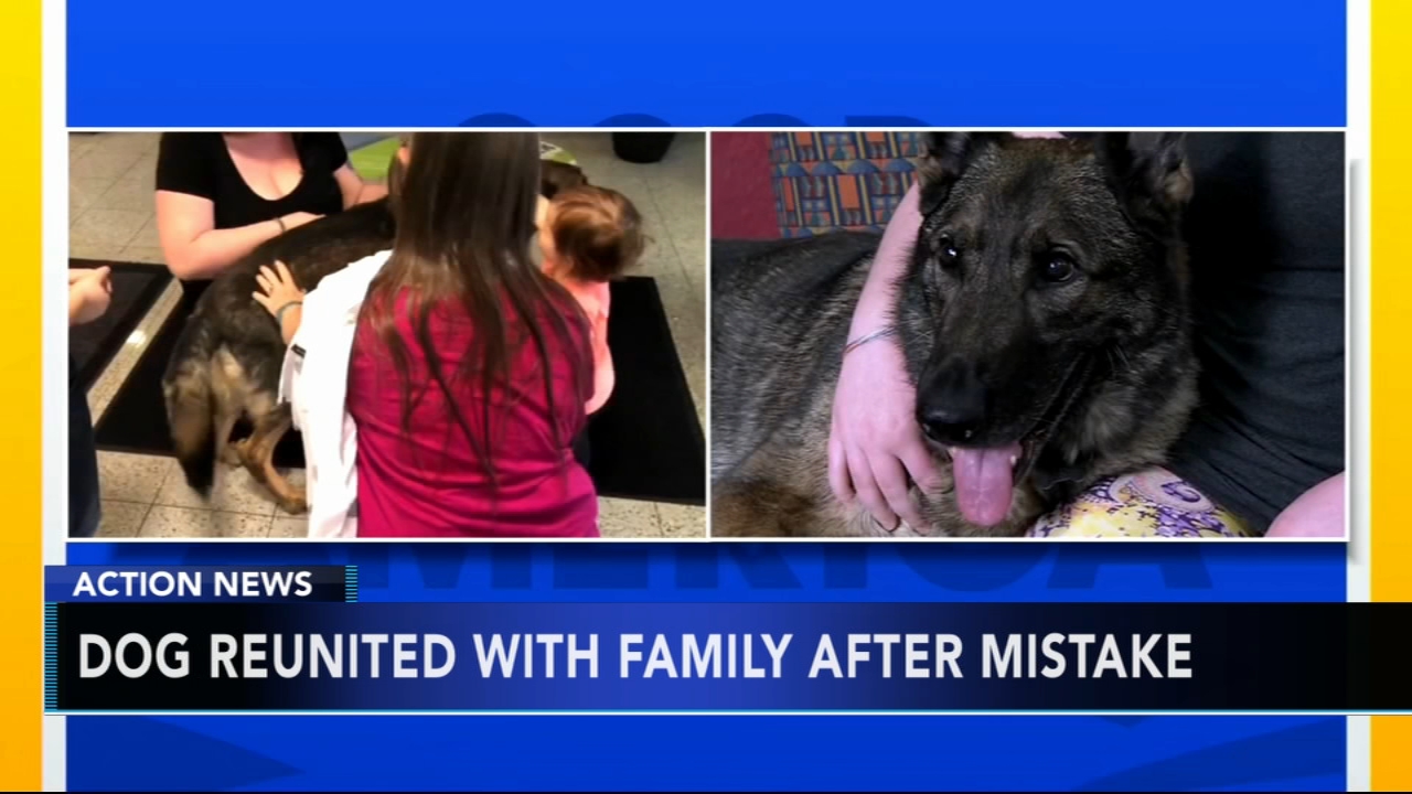 Dog flown to Japan by mistake returned to Kansas family