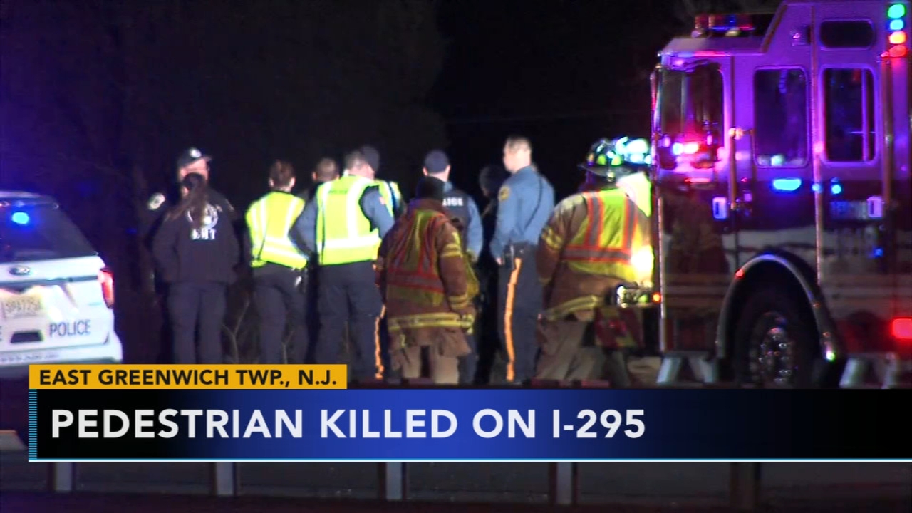 Pedestrian struck and killed on I-295