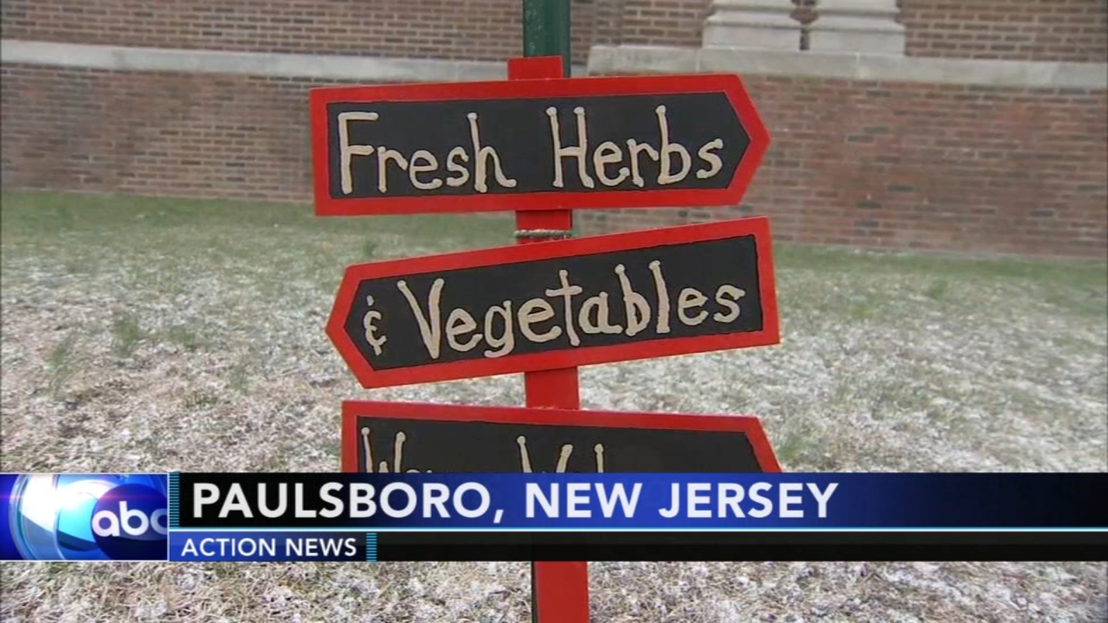 032018wpviedible gardenarticle 6abc Philadelphia