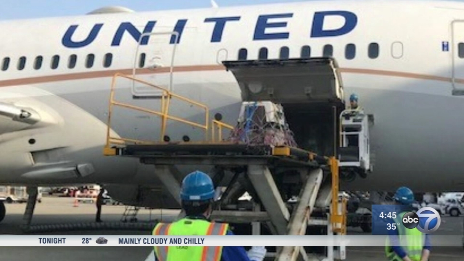 United Airlines halts pet shipment program after mishap ABC7 Chicago