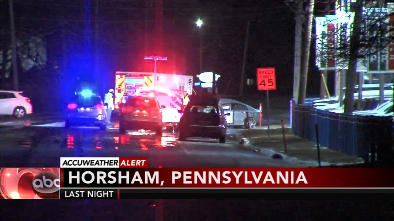 2 killed in Horsham crash