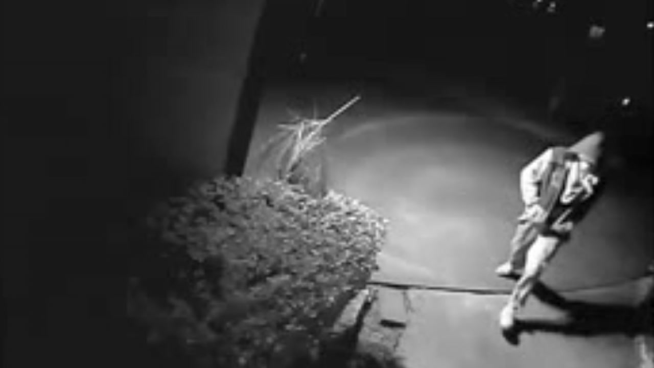 Elderly woman pistol-whipped during home invasion