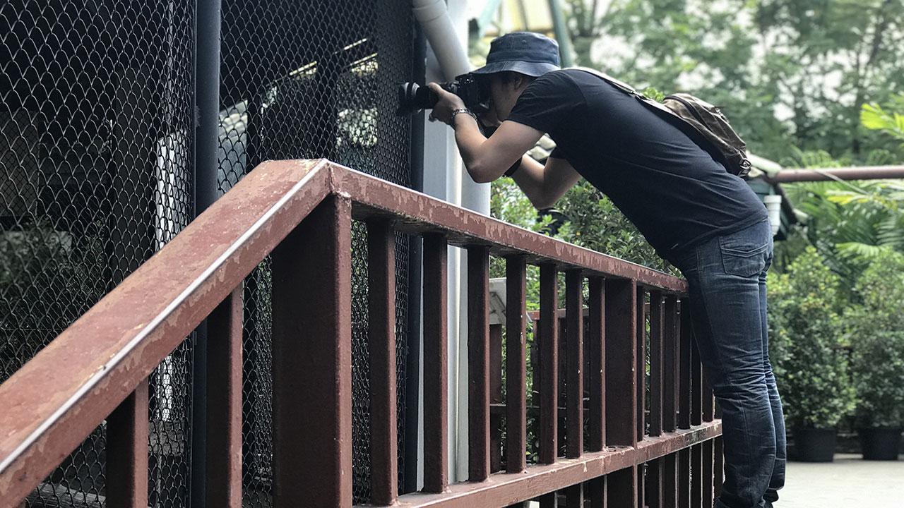 Houston Zoo offering photographers to take pictures of animals before zoo opens