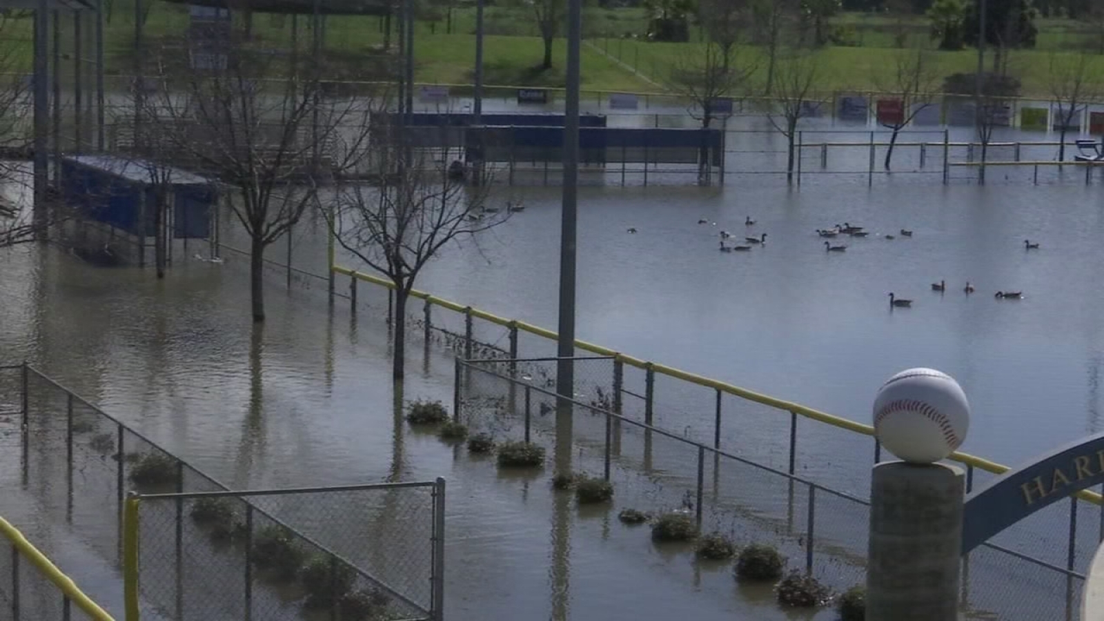 Flooded baseball field put a damper on local little leagues ABC30 Fresno