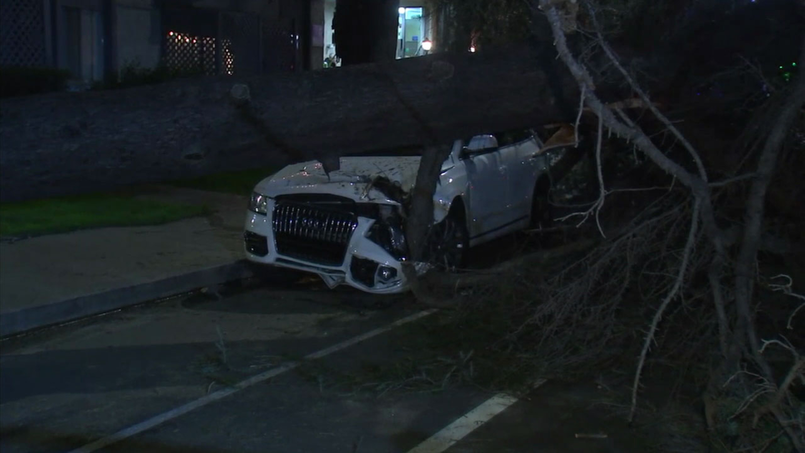 Large tree crushes 2 cars in Sherman Oaks neighborhood - ABC7 Los Angeles