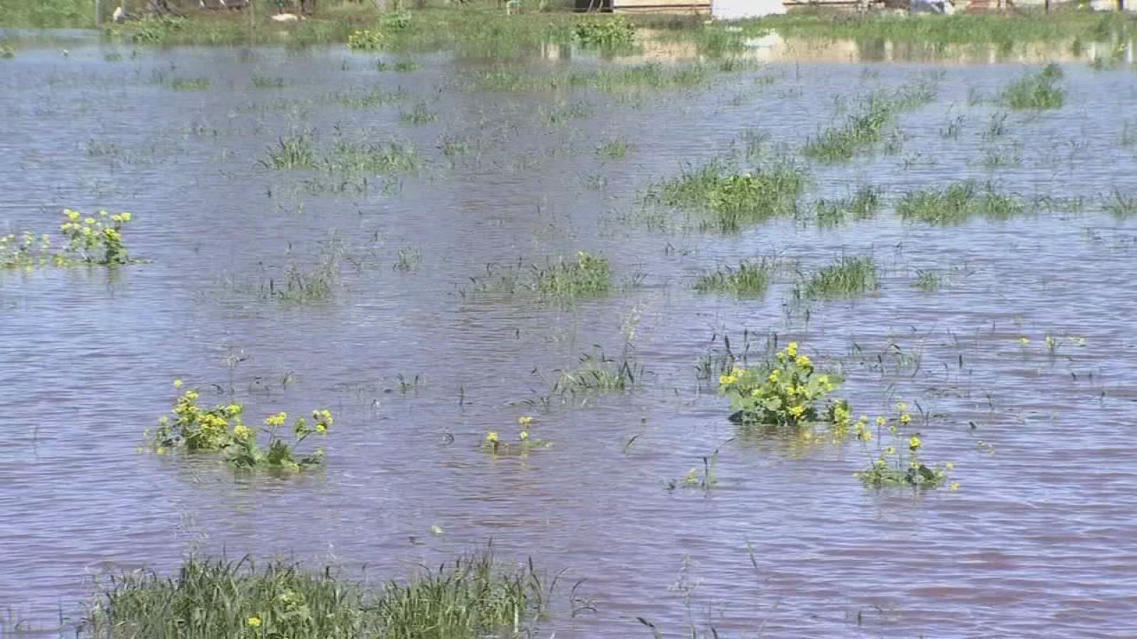Cleanup efforts continue in Planada after recent storm causes creek to