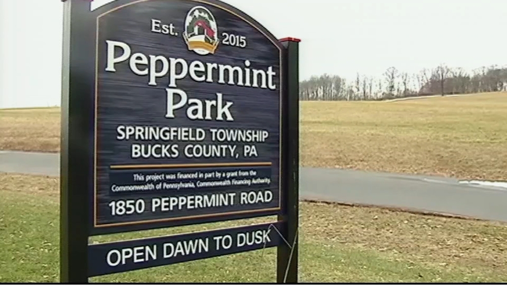 Residents blame Bucks Co. park for death of dogs