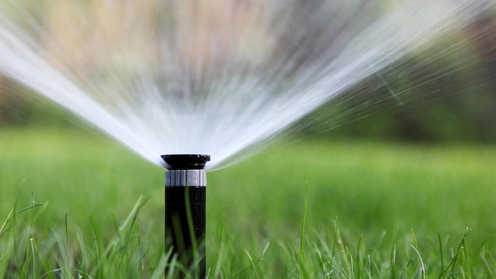 Summer watering schedules around the Valley ABC30 Fresno