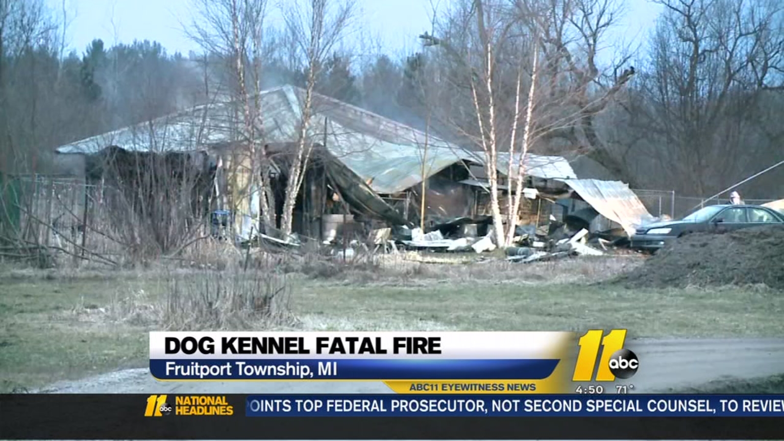 About 30 dogs believed dead in Michigan kennel fire ABC30 Fresno