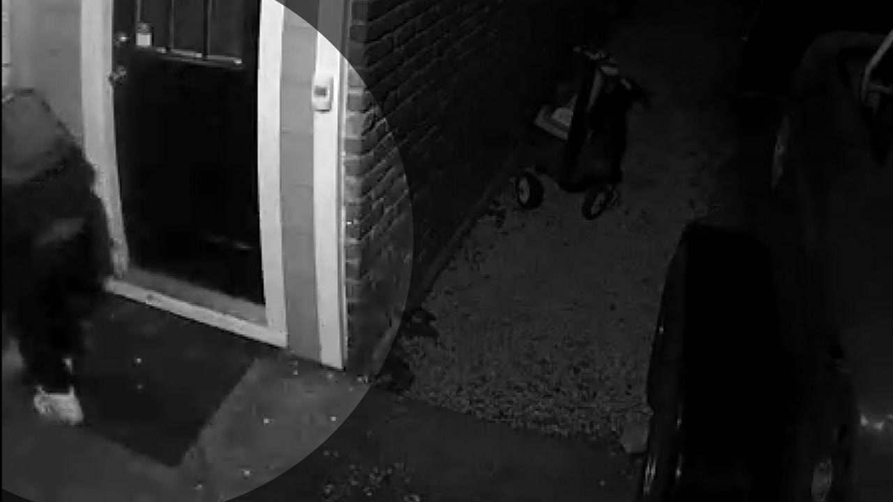 Homeowner fires shot at attempted burglar
