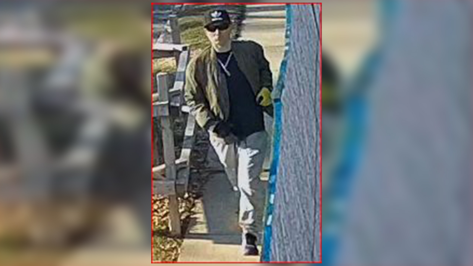 Police release surveillance video of suspect sought in Queens car arson ...