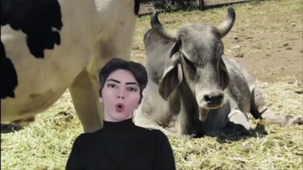 Sequence of events leading up to YouTube shooting emerging