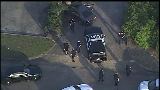 Victim finds stolen car crashed at end of wild police chase in Houston ...