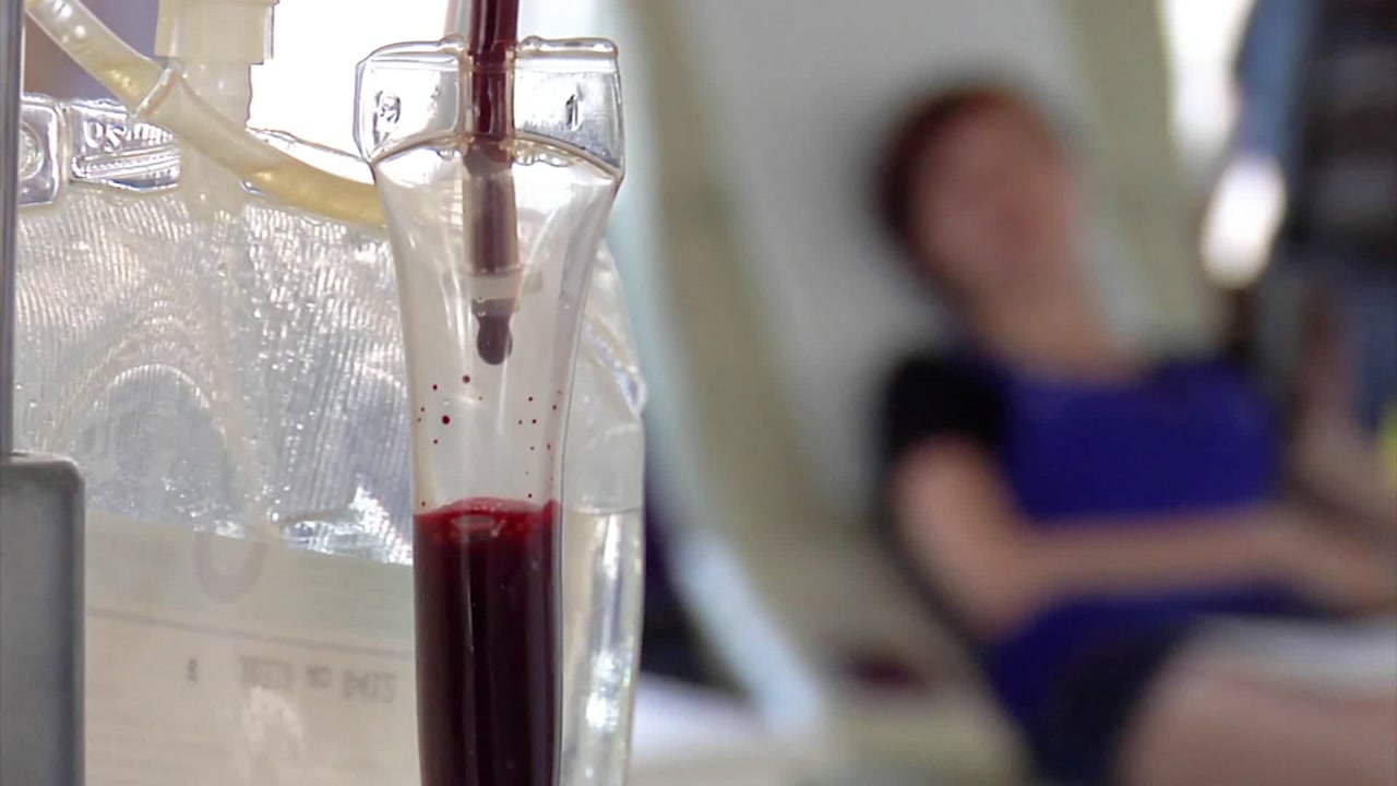 Consumer Reports: Surprise causes of anemia