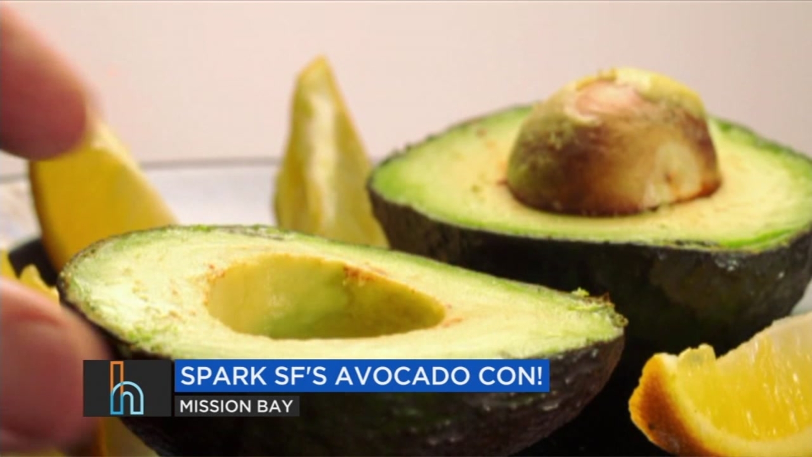 bay-area-weekend-events-dogfest2018-avocado-con-abc7-san-francisco