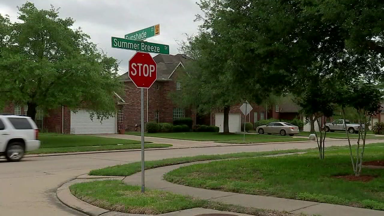 Elderly woman in recovery after being mauled by dogs