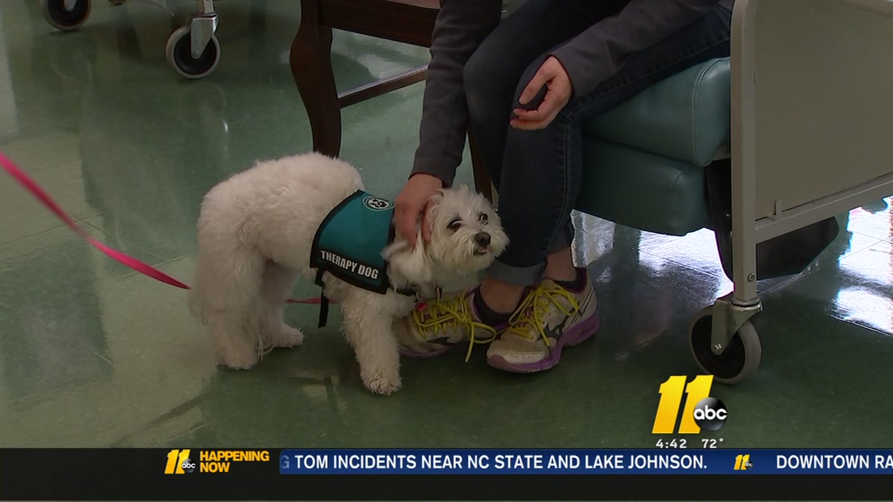 Raleigh fertility clinic is one of the first in the nation to use therapy dogs