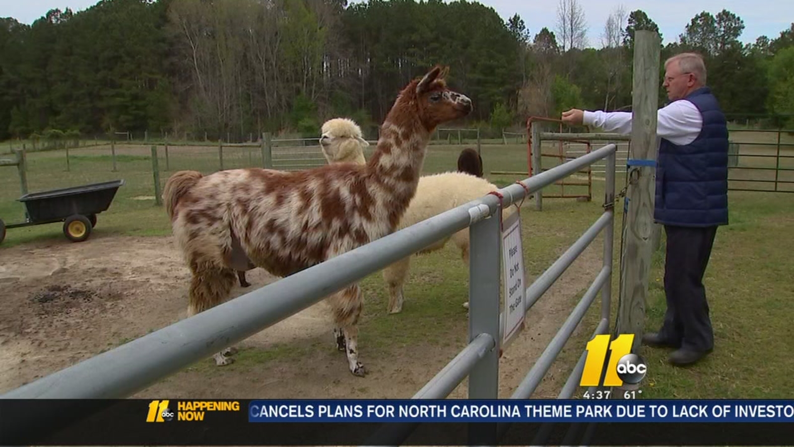 Alpaca Dreams one of 45 farms on this year's Piedmont Farm tour ABC11